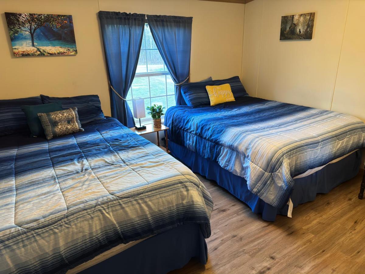 Spacious Cozy Getaway ! King Bed, Game Room, Out Door Patio Cairo Esterno foto